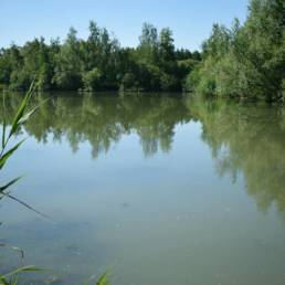 Etang de pêche de la Puchoie à Saint Amand les eaux dans le Nord