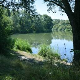 Etang de pêche de la Puchoie à Saint Amand les eaux dans le Nord