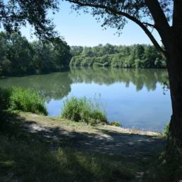 Etang de pêche de la Puchoie à Saint Amand les eaux dans le Nord