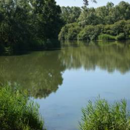 Etang de pêche de la Puchoie à Saint Amand les eaux dans le Nord