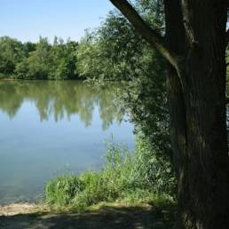 Etang de pêche de la Puchoie à Saint Amand les eaux dans le Nord