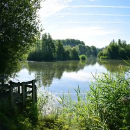 Etang de pêche de la Puchoie à Saint Amand les eaux dans le Nord