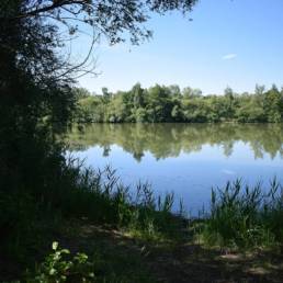 Etang de pêche de la Puchoie à Saint Amand les eaux dans le Nord