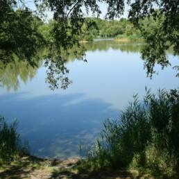 Etang de pêche de la Puchoie à Saint Amand les eaux dans le Nord