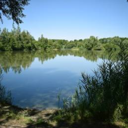 Etang de pêche de la Puchoie à Saint Amand les eaux dans le Nord