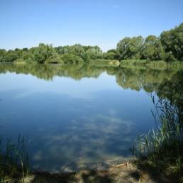 Etang de pêche de la Puchoie à Saint Amand les eaux dans le Nord