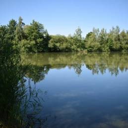 Etang de pêche de la Puchoie à Saint Amand les eaux dans le Nord