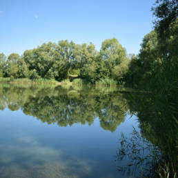 Etang de pêche de la Puchoie à Saint Amand les eaux dans le Nord