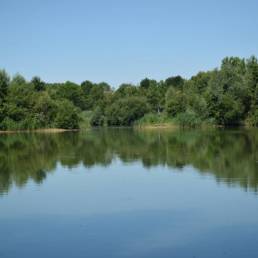Etang de pêche de la Puchoie à Saint Amand les eaux dans le Nord