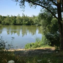 Etang de pêche de la Puchoie à Saint Amand les eaux dans le Nord