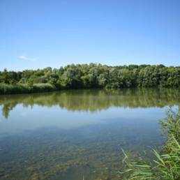 Etang de pêche de la Puchoie à Saint Amand les eaux dans le Nord