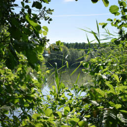 Etang de pêche de la Puchoie à Saint Amand les eaux dans le Nord