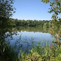 Etang de pêche de la Puchoie à Saint Amand les eaux dans le Nord