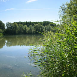 Etang de pêche de la Puchoie à Saint Amand les eaux dans le Nord