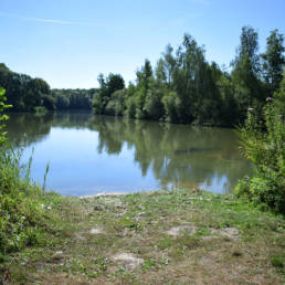 Etang de pêche de la Puchoie à Saint Amand les eaux dans le Nord