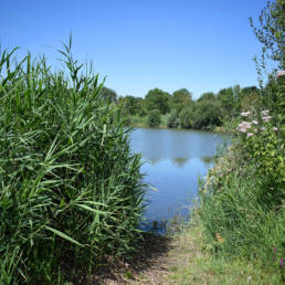 Etang de pêche de la Puchoie à Saint Amand les eaux dans le Nord