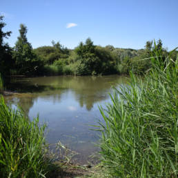 Etang de pêche de la Puchoie à Saint Amand les eaux dans le Nord