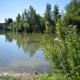 Etang de pêche de la Puchoie à Saint Amand les eaux dans le Nord