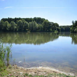Etang de pêche de la Puchoie à Saint Amand les eaux dans le Nord