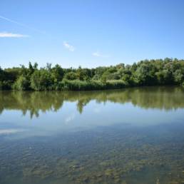 Etang de pêche de la Puchoie à Saint Amand les eaux dans le Nord