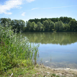 Etang de pêche de la Puchoie à Saint Amand les eaux dans le Nord