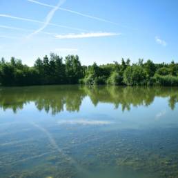Etang de pêche de la Puchoie à Saint Amand les eaux dans le Nord