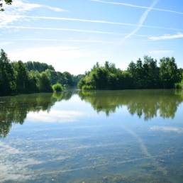 Etang de pêche de la Puchoie à Saint Amand les eaux dans le Nord