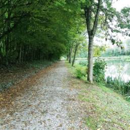 Etang de pêche du Parc Fortier à Saint Saulve dans le département du Nord