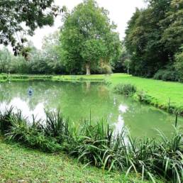 Etang de pêche du Parc Fortier à Saint Saulve dans le département du Nord