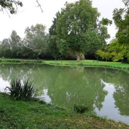 Etang de pêche du Parc Fortier à Saint Saulve dans le département du Nord