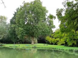 Etang de pêche du Parc Fortier à Saint Saulve dans le département du Nord