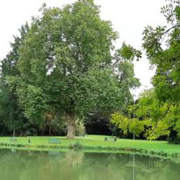 Etang de pêche du Parc Fortier à Saint Saulve dans le département du Nord