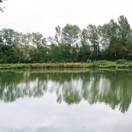 Etang de pêche du Parc Fortier à Saint Saulve dans le département du Nord