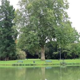 Etang de pêche du Parc Fortier à Saint Saulve dans le département du Nord
