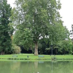 Etang de pêche du Parc Fortier à Saint Saulve dans le département du Nord