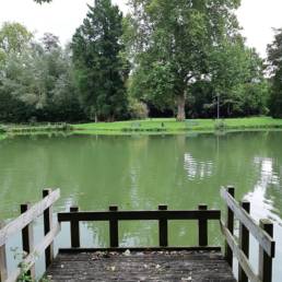 Etang de pêche du Parc Fortier à Saint Saulve dans le département du Nord