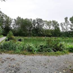Etang de pêche du Parc Fortier à Saint Saulve dans le département du Nord