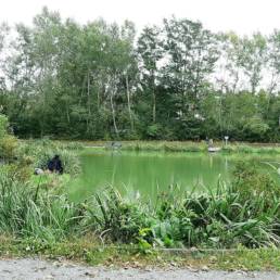 Etang de pêche du Parc Fortier à Saint Saulve dans le département du Nord