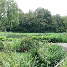 Etang de pêche du Parc Fortier à Saint Saulve dans le département du Nord