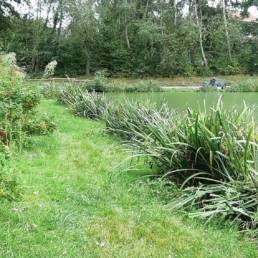 Etang de pêche du Parc Fortier à Saint Saulve dans le département du Nord