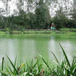 Etang de pêche du Parc Fortier à Saint Saulve dans le département du Nord