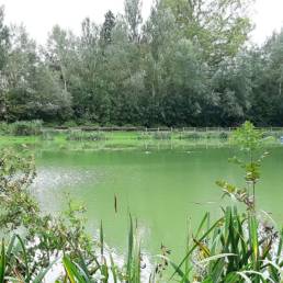 Etang de pêche du Parc Fortier à Saint Saulve dans le département du Nord