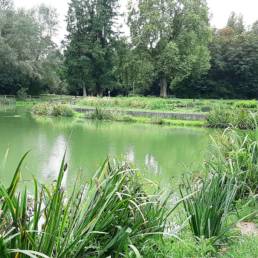 Etang de pêche du Parc Fortier à Saint Saulve dans le département du Nord