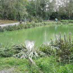 Etang de pêche du Parc Fortier à Saint Saulve dans le département du Nord