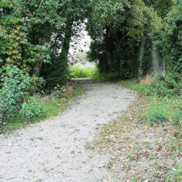 Etang de pêche du Parc Fortier à Saint Saulve dans le département du Nord