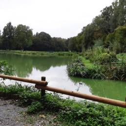 Etang de pêche du Parc Fortier à Saint Saulve dans le département du Nord