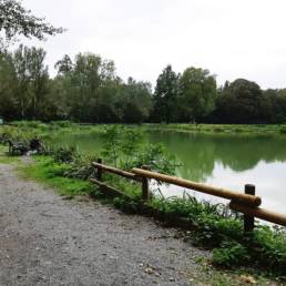 Etang de pêche du Parc Fortier à Saint Saulve dans le département du Nord
