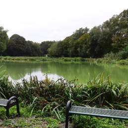 Etang de pêche du Parc Fortier à Saint Saulve dans le département du Nord