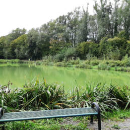 Etang de pêche du Parc Fortier à Saint Saulve dans le département du Nord