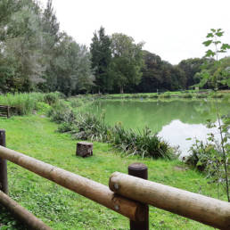 Etang de pêche du Parc Fortier à Saint Saulve dans le département du Nord